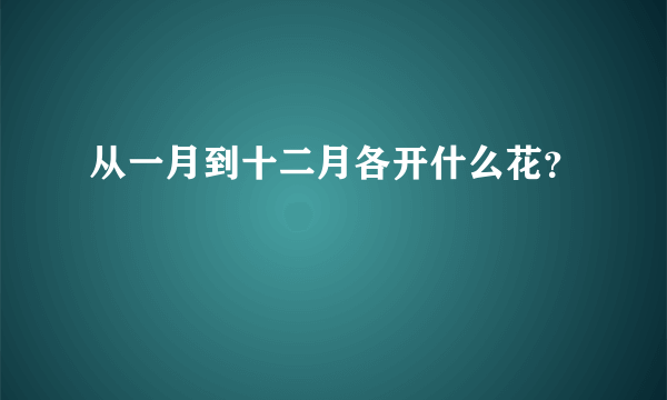 从一月到十二月各开什么花？