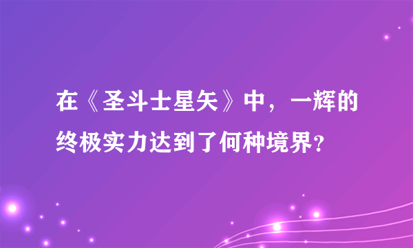 在《圣斗士星矢》中，一辉的终极实力达到了何种境界？