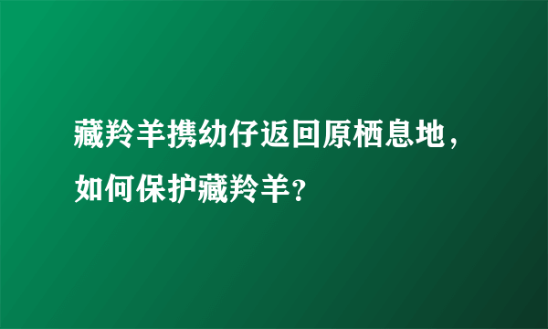 藏羚羊携幼仔返回原栖息地，如何保护藏羚羊？