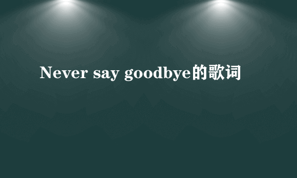 Never say goodbye的歌词