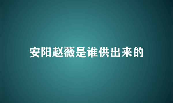 安阳赵薇是谁供出来的