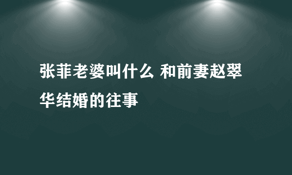 张菲老婆叫什么 和前妻赵翠华结婚的往事