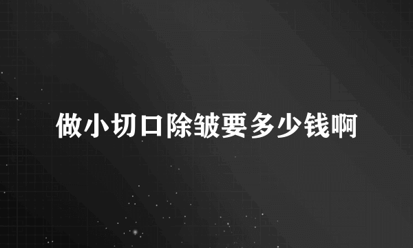 做小切口除皱要多少钱啊