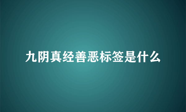 九阴真经善恶标签是什么