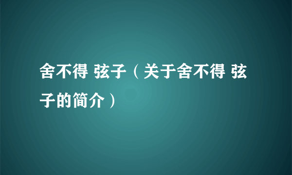 舍不得 弦子（关于舍不得 弦子的简介）