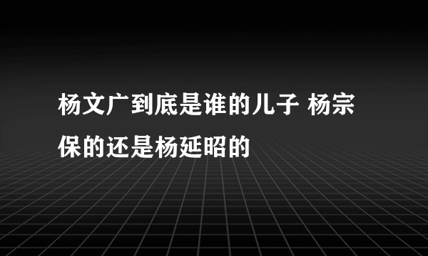 杨文广到底是谁的儿子 杨宗保的还是杨延昭的