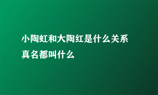 小陶虹和大陶红是什么关系 真名都叫什么