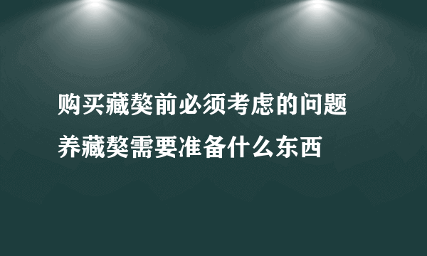 购买藏獒前必须考虑的问题 养藏獒需要准备什么东西