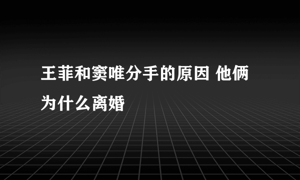 王菲和窦唯分手的原因 他俩为什么离婚