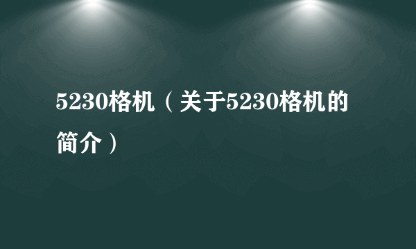 5230格机（关于5230格机的简介）