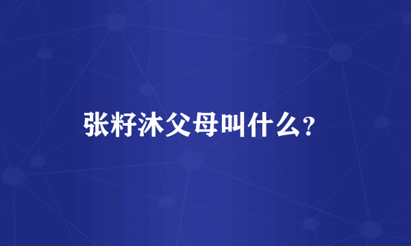 张籽沐父母叫什么？