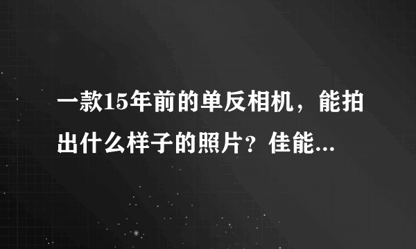 一款15年前的单反相机，能拍出什么样子的照片？佳能450D怀念文章