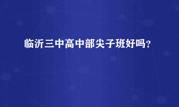 临沂三中高中部尖子班好吗？