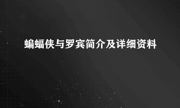 蝙蝠侠与罗宾简介及详细资料