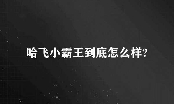 哈飞小霸王到底怎么样?