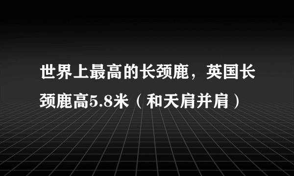 世界上最高的长颈鹿，英国长颈鹿高5.8米（和天肩并肩）