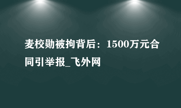 麦校勋被拘背后：1500万元合同引举报_飞外网