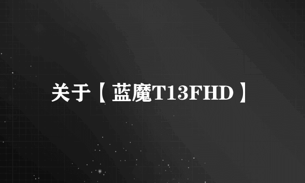 关于【蓝魔T13FHD】