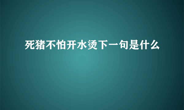 死猪不怕开水烫下一句是什么