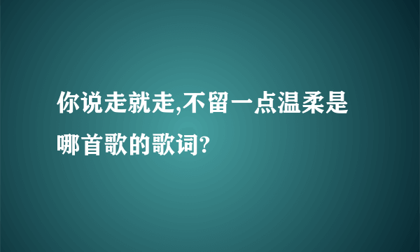 你说走就走,不留一点温柔是哪首歌的歌词?