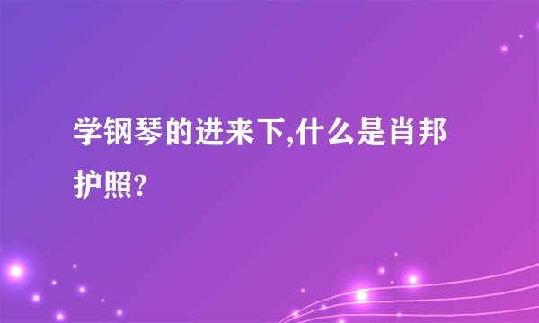 学钢琴的进来下,什么是肖邦护照?