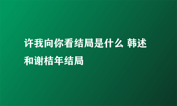 许我向你看结局是什么 韩述和谢桔年结局