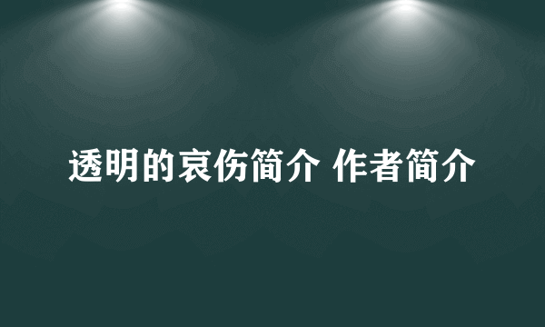 透明的哀伤简介 作者简介