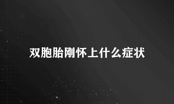 双胞胎刚怀上什么症状