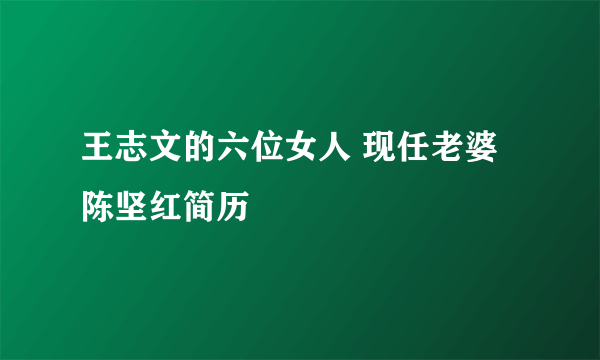 王志文的六位女人 现任老婆陈坚红简历