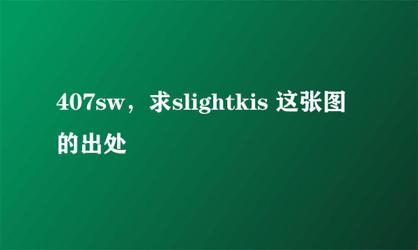 407sw，求slightkis 这张图的出处