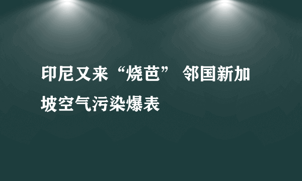 印尼又来“烧芭” 邻国新加坡空气污染爆表