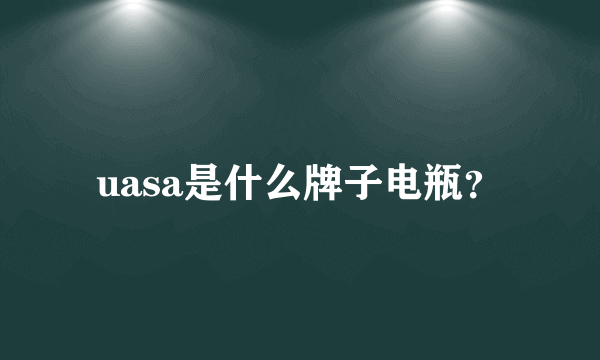 uasa是什么牌子电瓶？