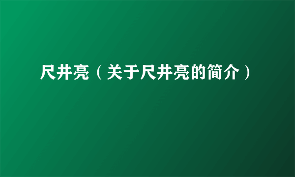 尺井亮（关于尺井亮的简介）