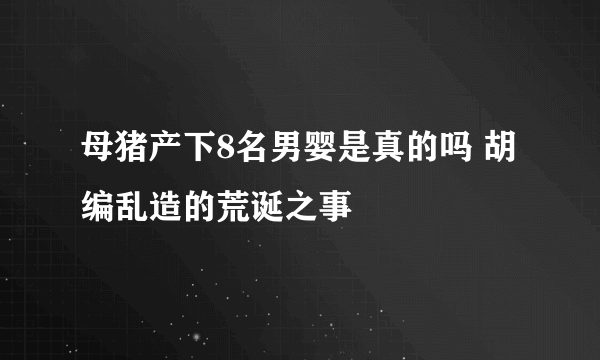 母猪产下8名男婴是真的吗 胡编乱造的荒诞之事