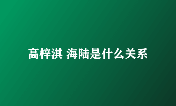 高梓淇 海陆是什么关系