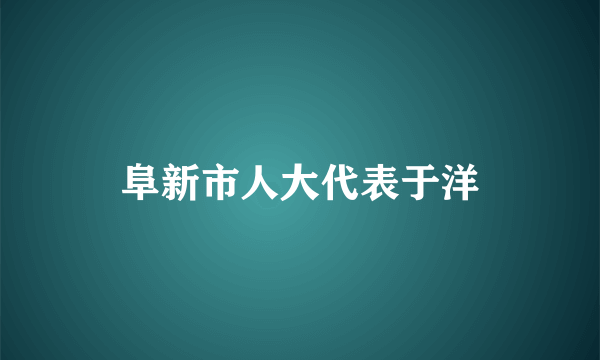 阜新市人大代表于洋