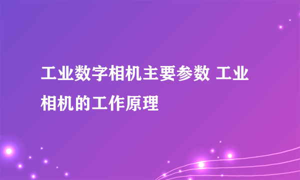 工业数字相机主要参数 工业相机的工作原理