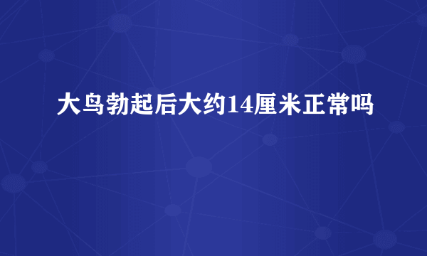 大鸟勃起后大约14厘米正常吗