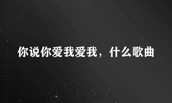 你说你爱我爱我，什么歌曲