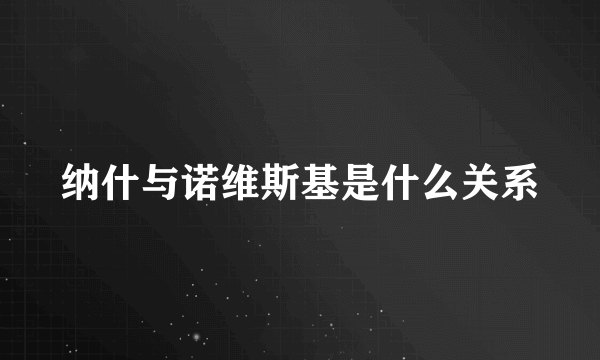 纳什与诺维斯基是什么关系