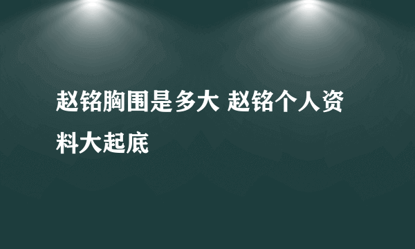 赵铭胸围是多大 赵铭个人资料大起底