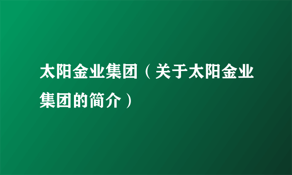 太阳金业集团（关于太阳金业集团的简介）