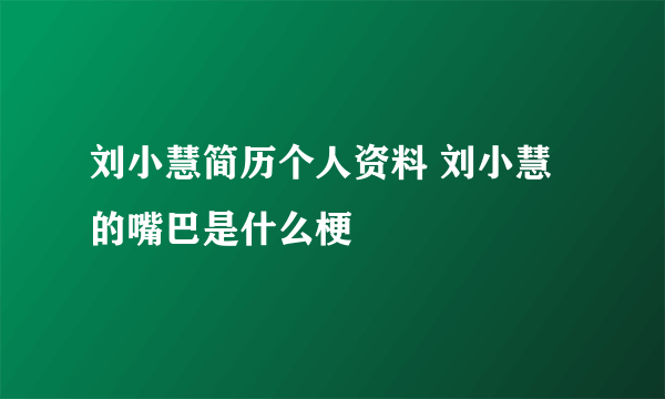 刘小慧简历个人资料 刘小慧的嘴巴是什么梗