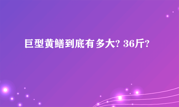 巨型黄鳝到底有多大? 36斤?