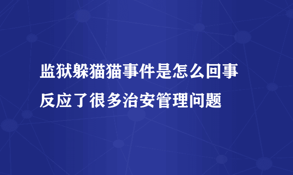 监狱躲猫猫事件是怎么回事 反应了很多治安管理问题