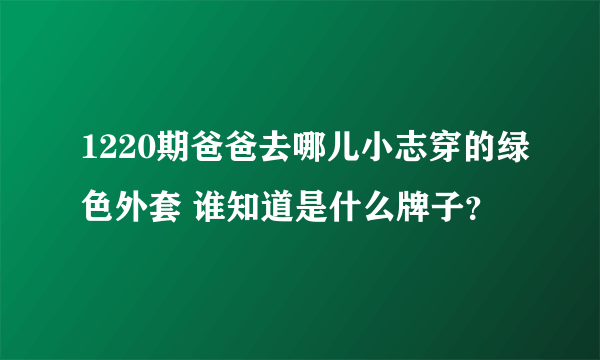 1220期爸爸去哪儿小志穿的绿色外套 谁知道是什么牌子？