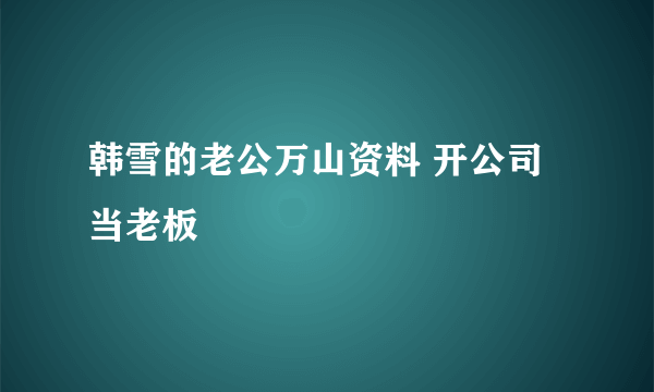 韩雪的老公万山资料 开公司当老板