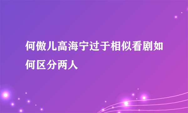 何傲儿高海宁过于相似看剧如何区分两人