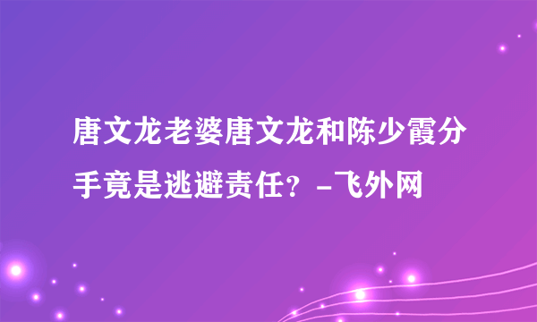 唐文龙老婆唐文龙和陈少霞分手竟是逃避责任？-飞外网