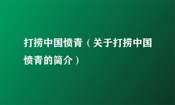 打捞中国愤青（关于打捞中国愤青的简介）